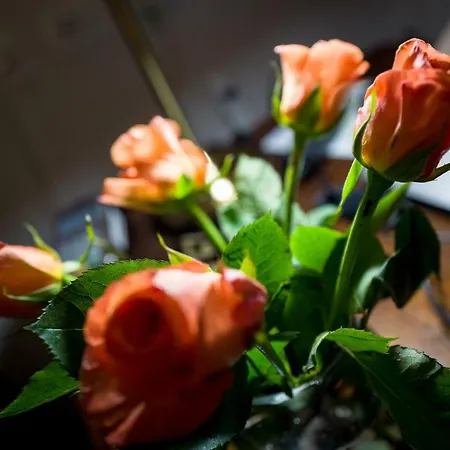 Cathedral Nocleg ze śniadaniem Florencja