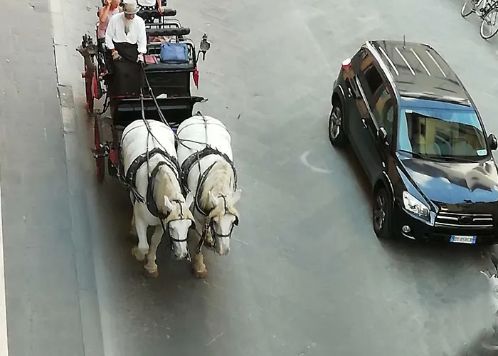 Bed & Breakfast Cathedral 4*