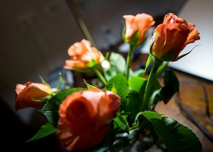 Cathedral Bed & Breakfast Firenze