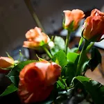 Cathedral Bed & Breakfast Firenze