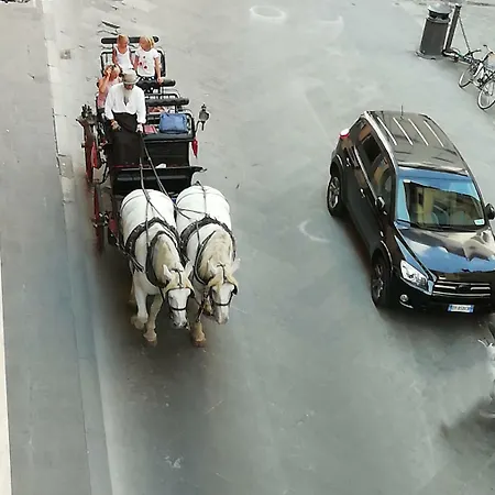 Bed & Breakfast Cathedral 4*